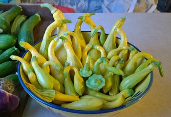 Bowl of Sunshine